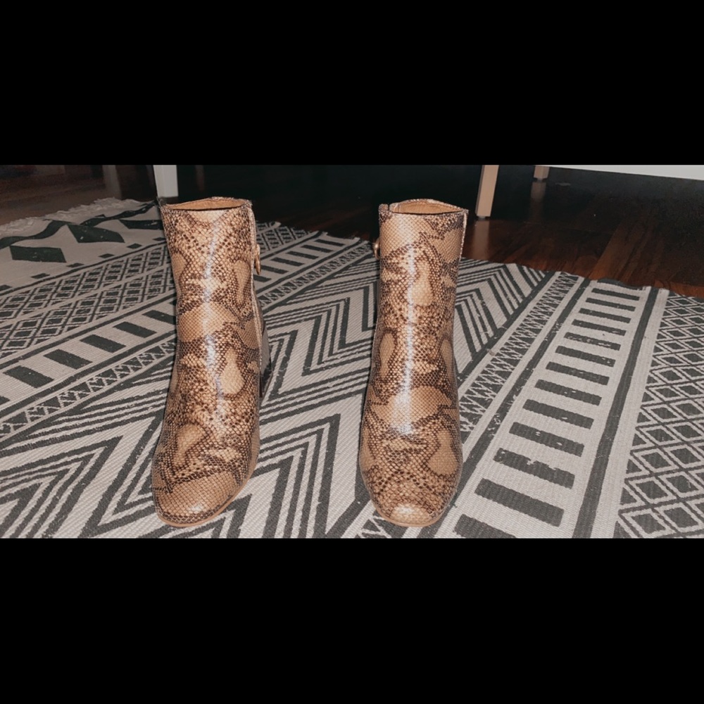 Snake print booties